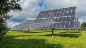 Grupo Vardí y Dinissan lideran la revolución ecológica con paneles solares