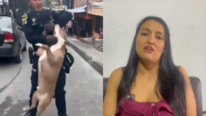 Video | Se pronunció la dueña del perro pitbull al que policía le disparó en Manizales