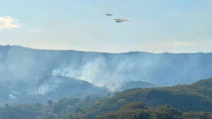 Más de 44.000 hectáreas de bosque han sido consumidas este mes por incendios