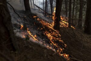 Incendios forestales se extienden a siete departamentos: no cesan las altas temperaturas