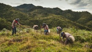 Empresas que trabajan por restauración de ecosistemas en Colombia: el caso de Grupo Argos