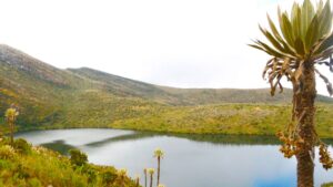 Fondo Mundial del Clima financia proyecto para garantizar abastecimiento de agua en Bogotá