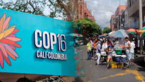 COP16: vendedores ambulantes y economía popular plantearán alternativas de formalización