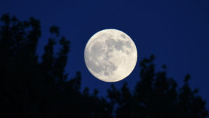 Video | Esto es lo que pasaría si la Luna no existiera: ¿qué cambiaría?