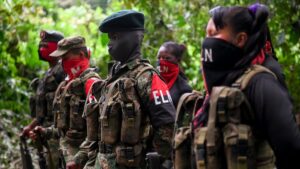 Consejo de Seguridad de la ONU considera que los diálogos con el ELN están estancados