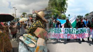 Indígenas y activistas marchan en Cali para exigir compromisos serios en la COP16