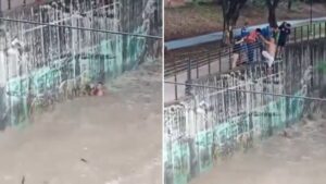 Video | Hombre arriesgó su vida para salvar a perrito de las turbulentas aguas de un río