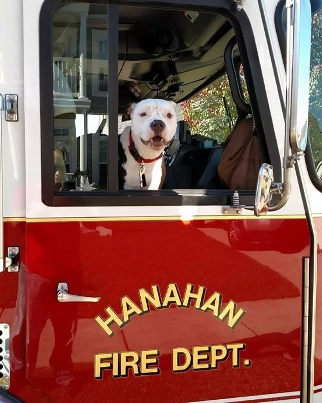 Jake, bombero de la estación de Hanahan 