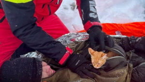 La historia del hombre que huyó de la guerra en Ucrania y fue rescatado por su gatita