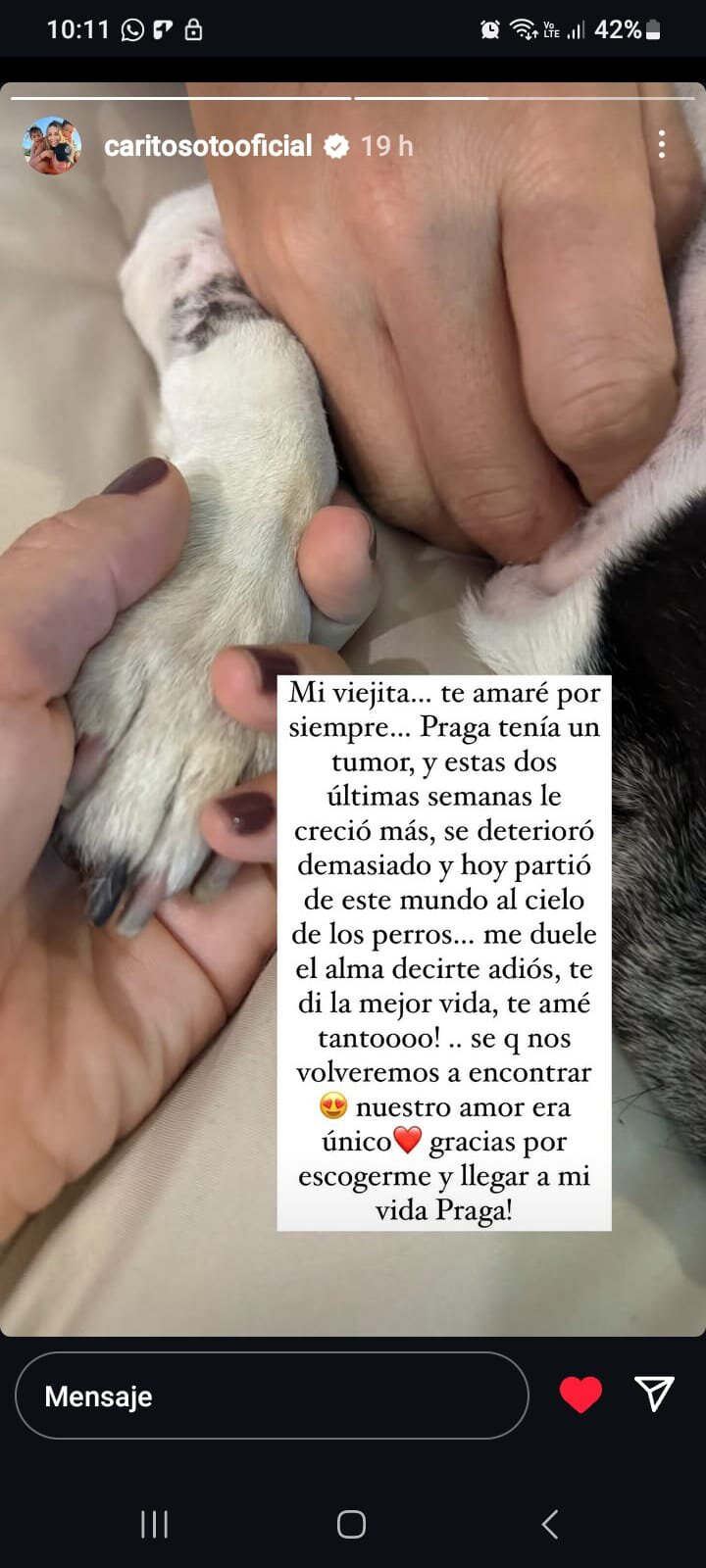 Mensaje de Carolina Soto a su perro a través de historias de Instagram