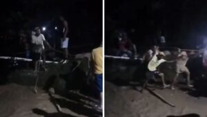 Video | ¡Está vivo! Así fue el rescate de un hombre arrastrado por río en Santander