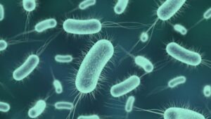 Descubren en la estación espacial china una bacteria jamás vista en la Tierra