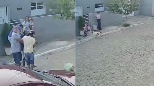 Video | Así fue el salvaje ataque de un perro pitbull contra dos niñas