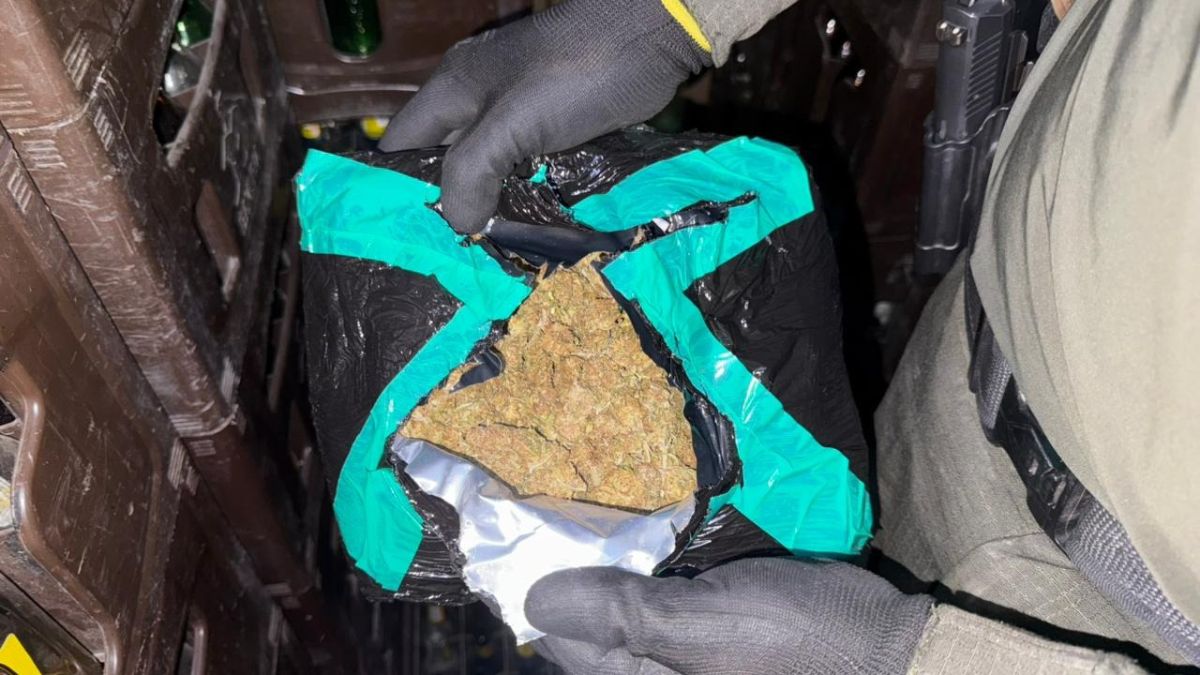 Tránsito y Transporte incauta 314 kilos de marihuana en la vía Bogotá ...
