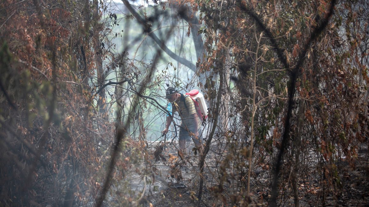 Tolima concentra la mayor cantidad de incendios forestales activos en Colombia